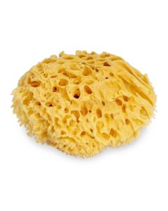Naturschwämme